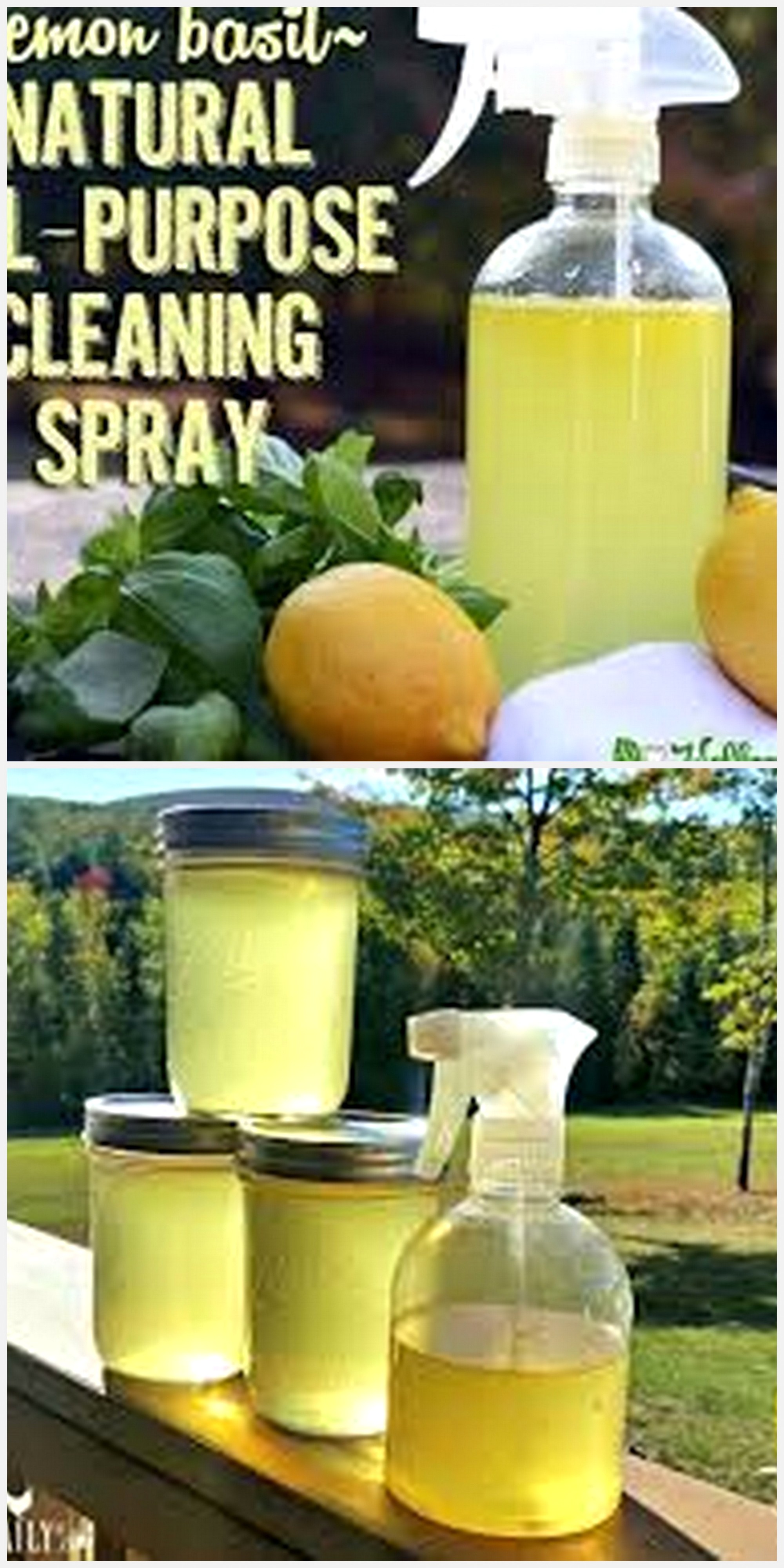 lemon uses
