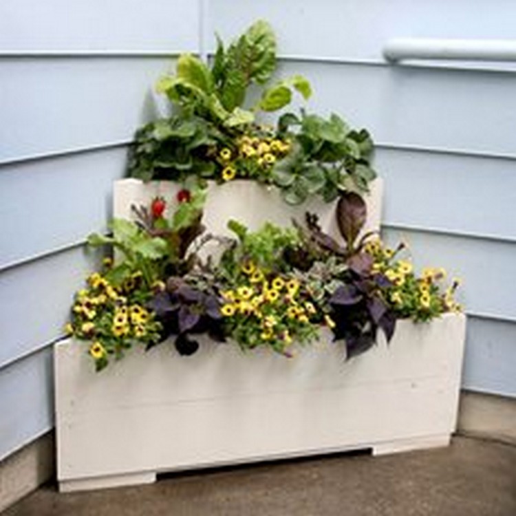 diy garden ideas (7)