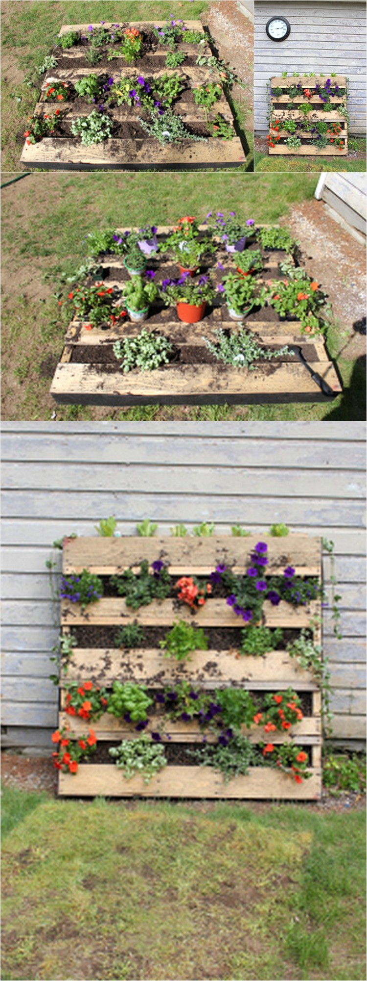 diy planter ideas (5)