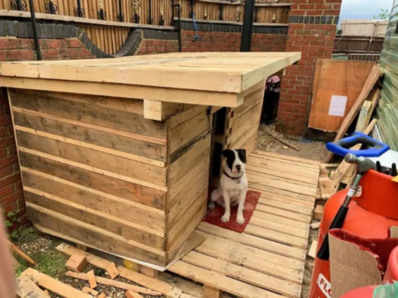 pallet dog house (29)