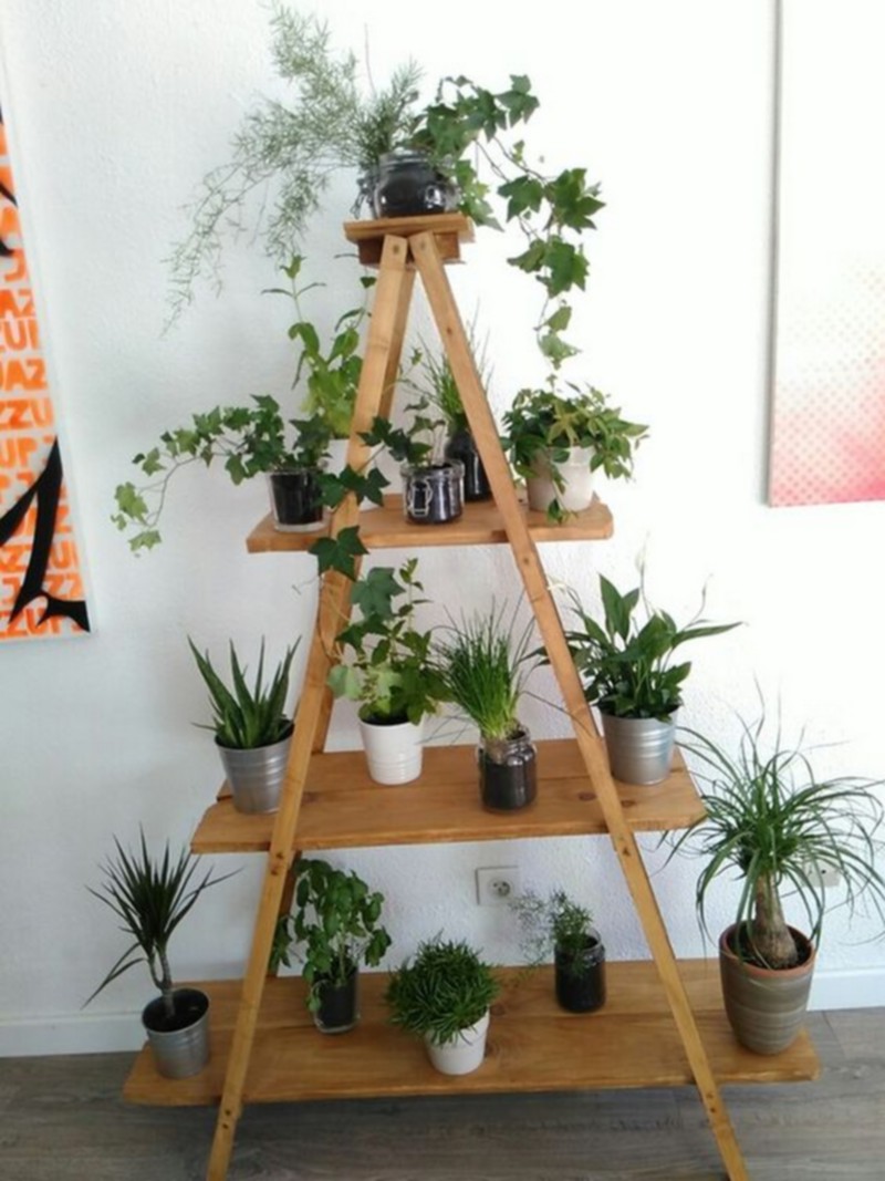 Ladder Decor Shel (2)