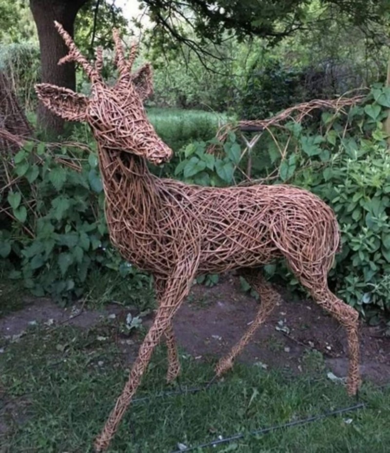 Metal Animal (34)