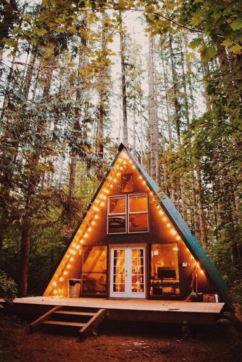 Modern Wood Cabin (2)