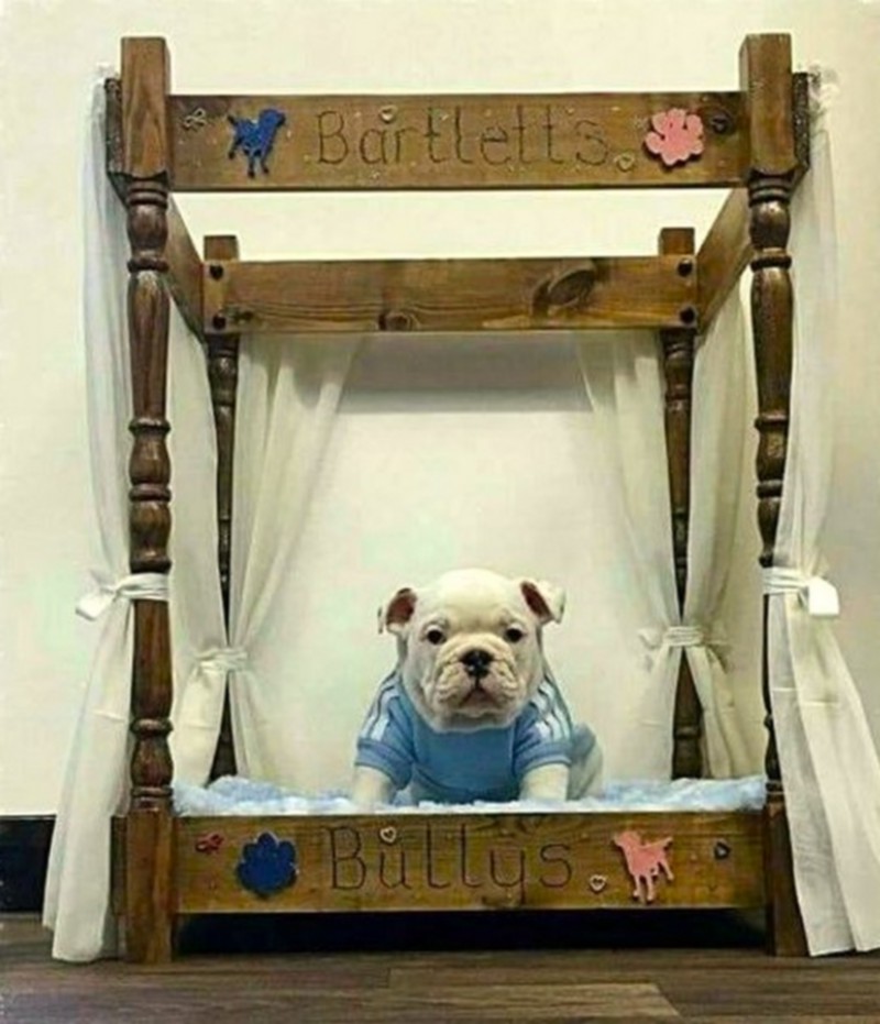 Wood Pallet Dog Beds (15)