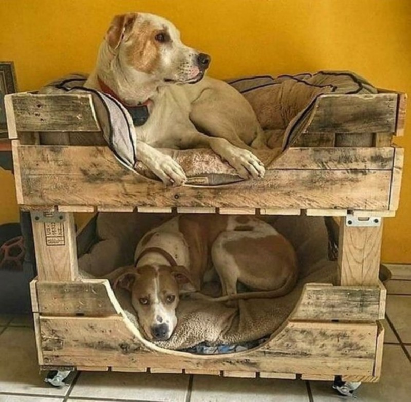 Wood Pallet Dog Beds (5)