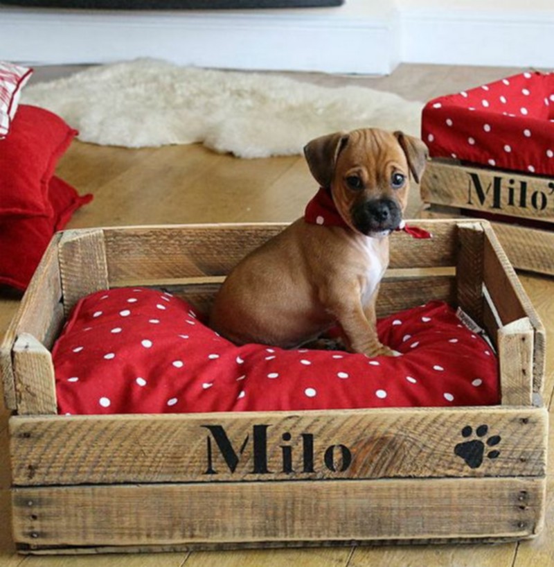 Wood Pallet Dog Beds (6)