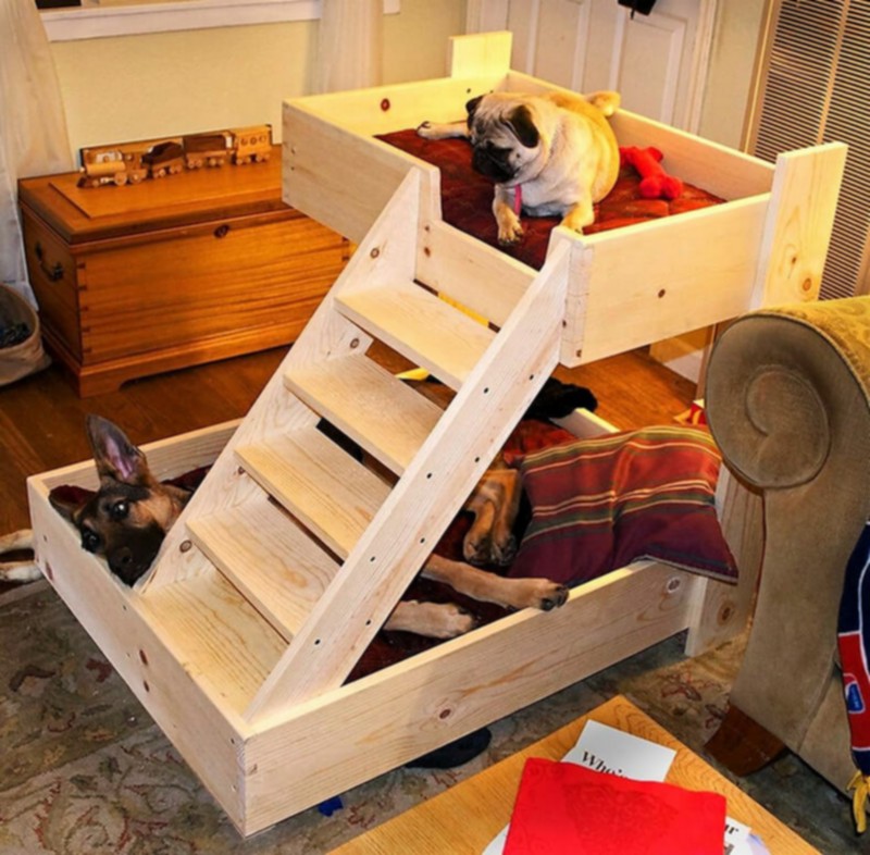Wood Pallet Dog Beds (7)