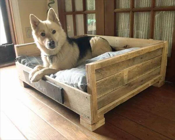 pallet dog beds