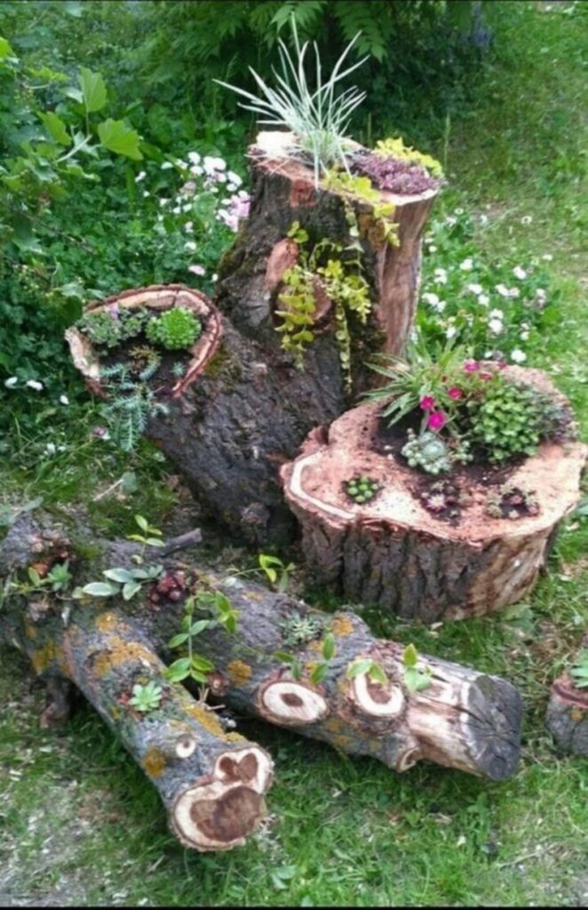 DIY Old Log Planters for a Colorful Garden - HOW TO MAKE – DIY