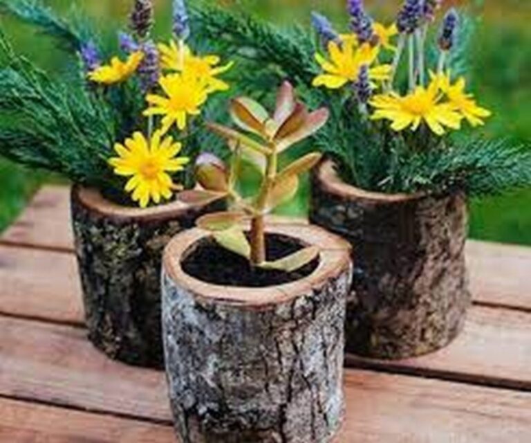 DIY Old Log Planters for a Colorful Garden - HOW TO MAKE – DIY