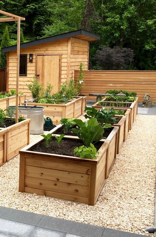 raised garden beds (10)